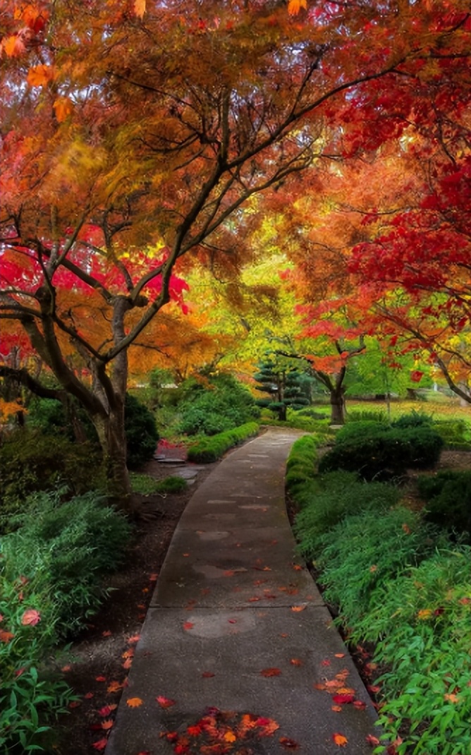 古诗词里的冬日温暖,古诗词里最美的冬天句子