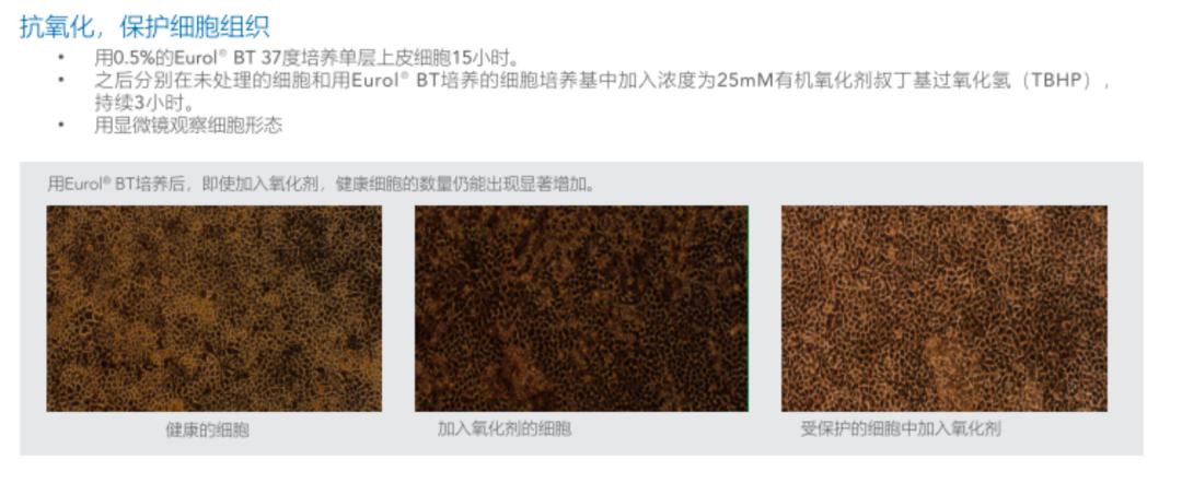 积雪草跟油橄榄哪个消炎效果好 (油橄榄和积雪草哪个适合油皮)