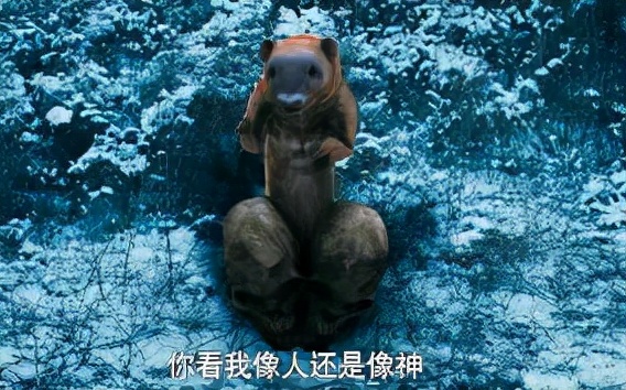 黄鼠狼会记仇是封建迷信吗,黄鼠狼白天有什么征兆