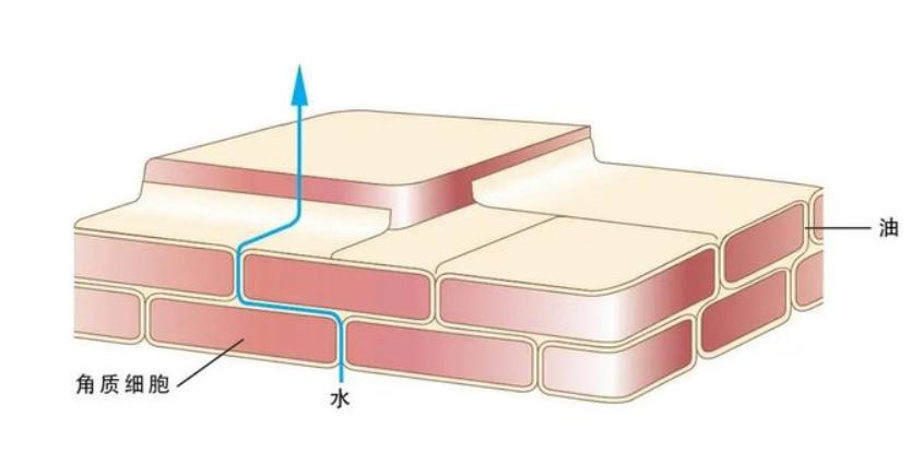 水光针多久可以护肤,水光针多长时间能护肤