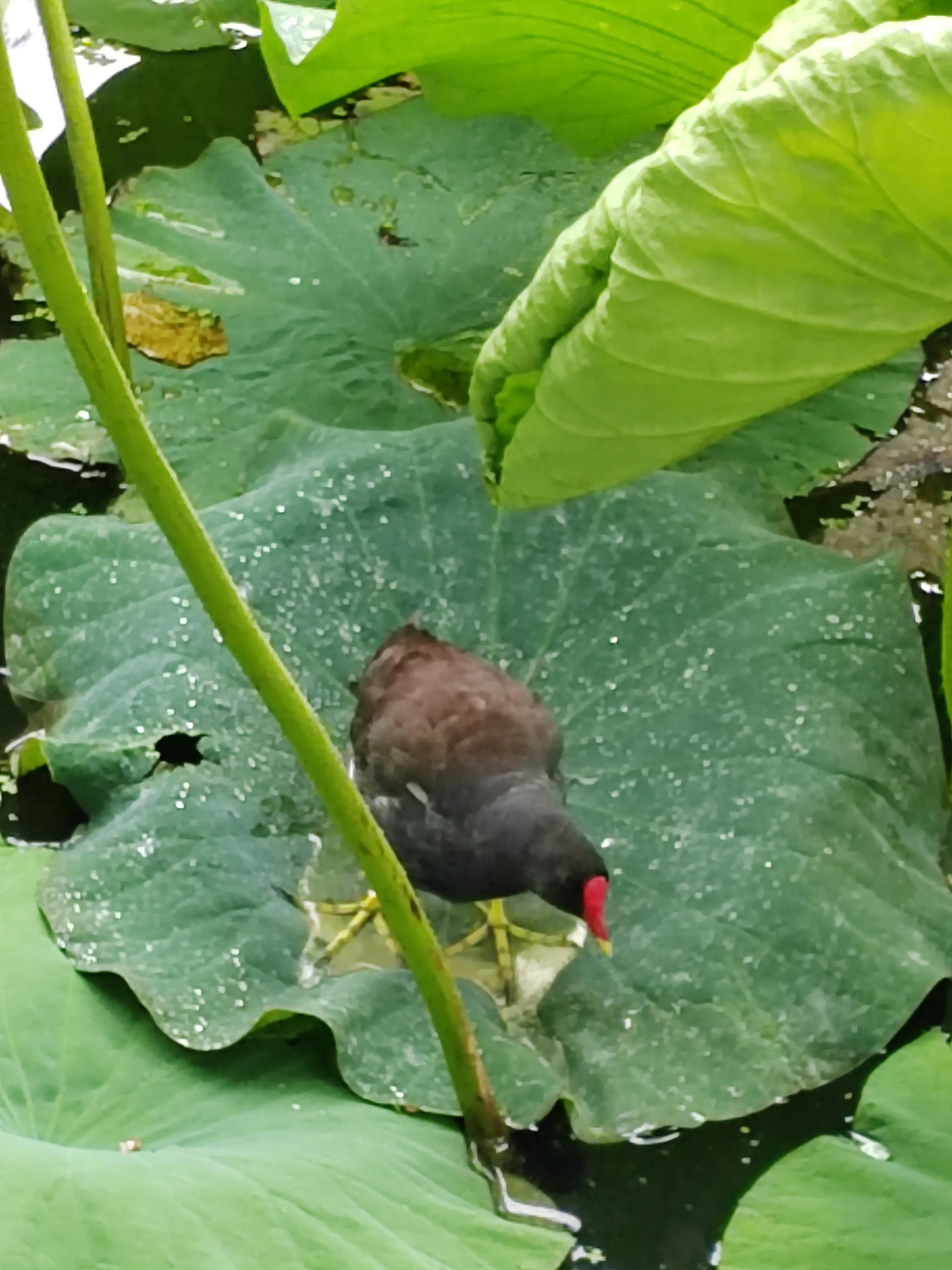 与春城昆明的再次邂逅，让这个盛夏有一抹清凉