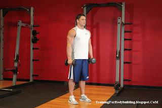 居家徒手增肌健身计划一周表图,家庭哑铃健身计划一周表男士