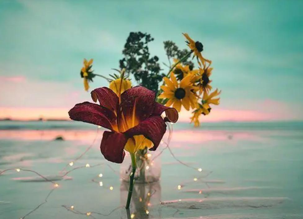 鑻ヨ浜虹敓澶劍铏戜笉濡ㄥ璇绘豹鏇剧ズ,濡傝浜虹敓澶嫙涓旇鍚庢劅