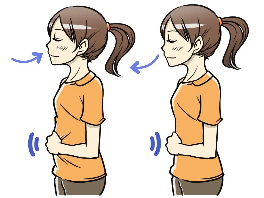 腹式呼吸有助于盆底康复,腹式呼吸对盆底肌有帮助吗