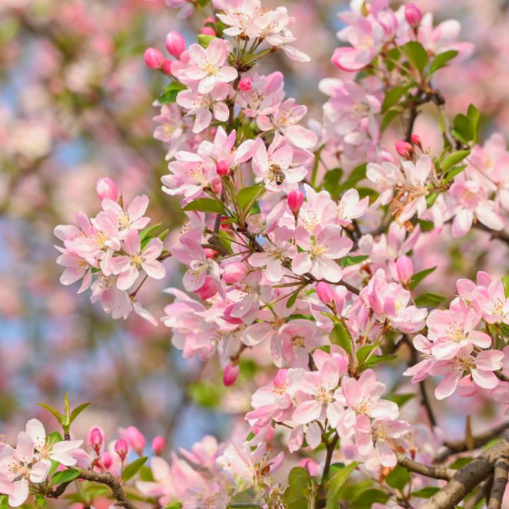 今日开通高铁,快上车流程