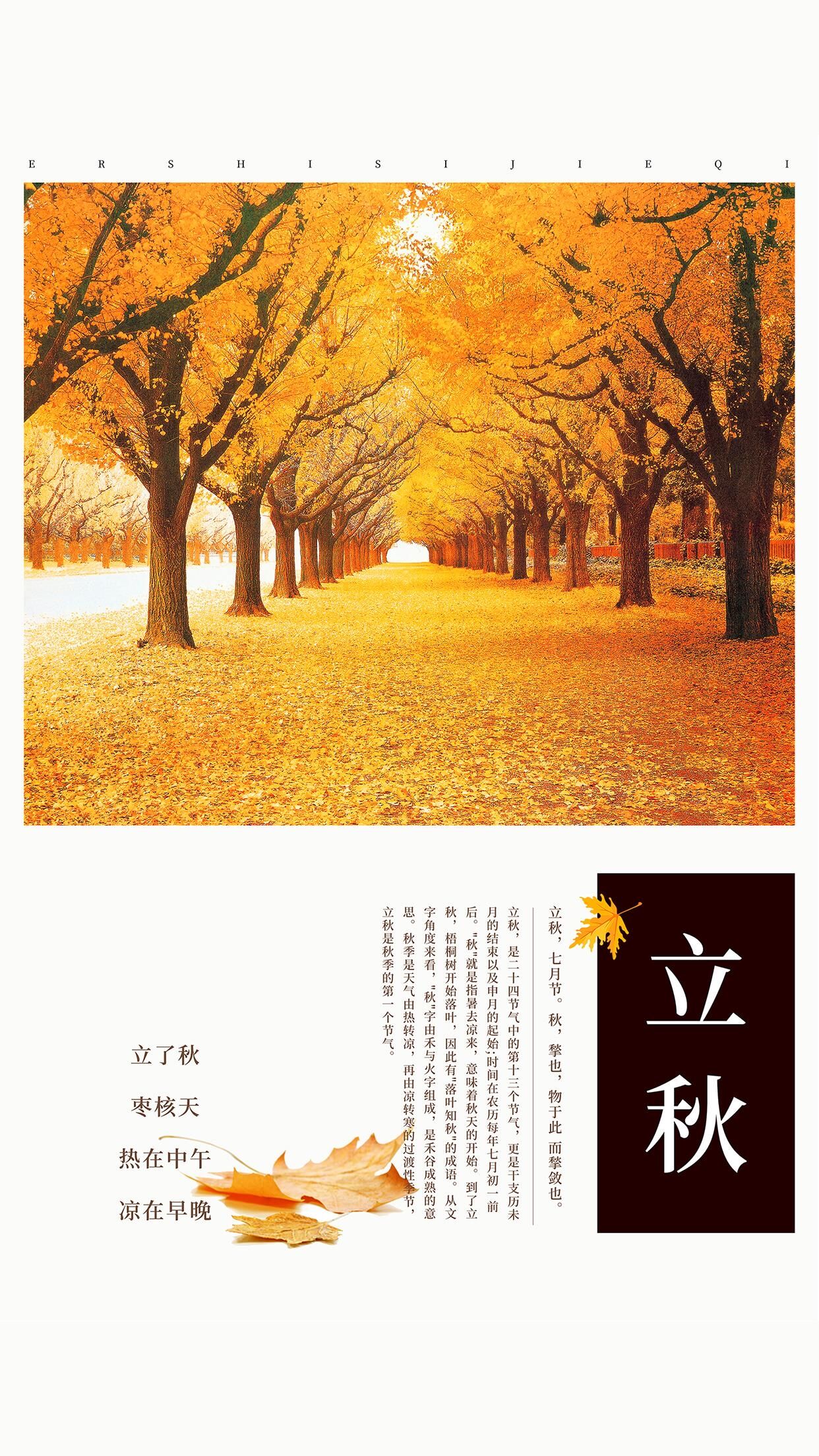 宀佸崕杩囧崐浼戞儐鎬呬笖瀵硅タ椋庤繋绔嬬,宀佹湀杩囧崐浼戞儐鎬呬笖瀵硅タ椋庤春绔嬬