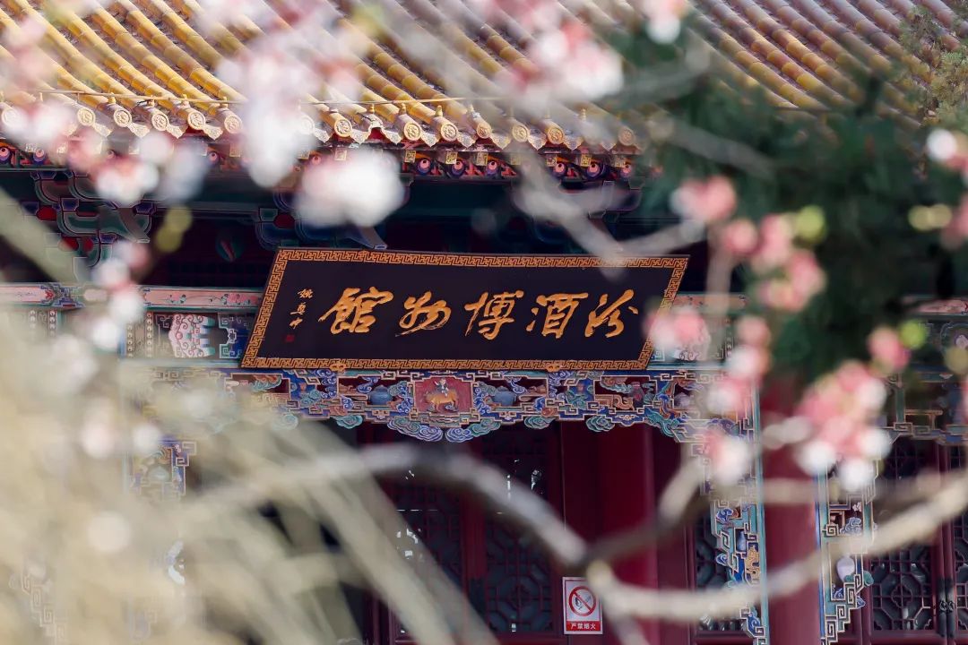 汾阳汾酒文化景区,汾阳杏花千年古韵