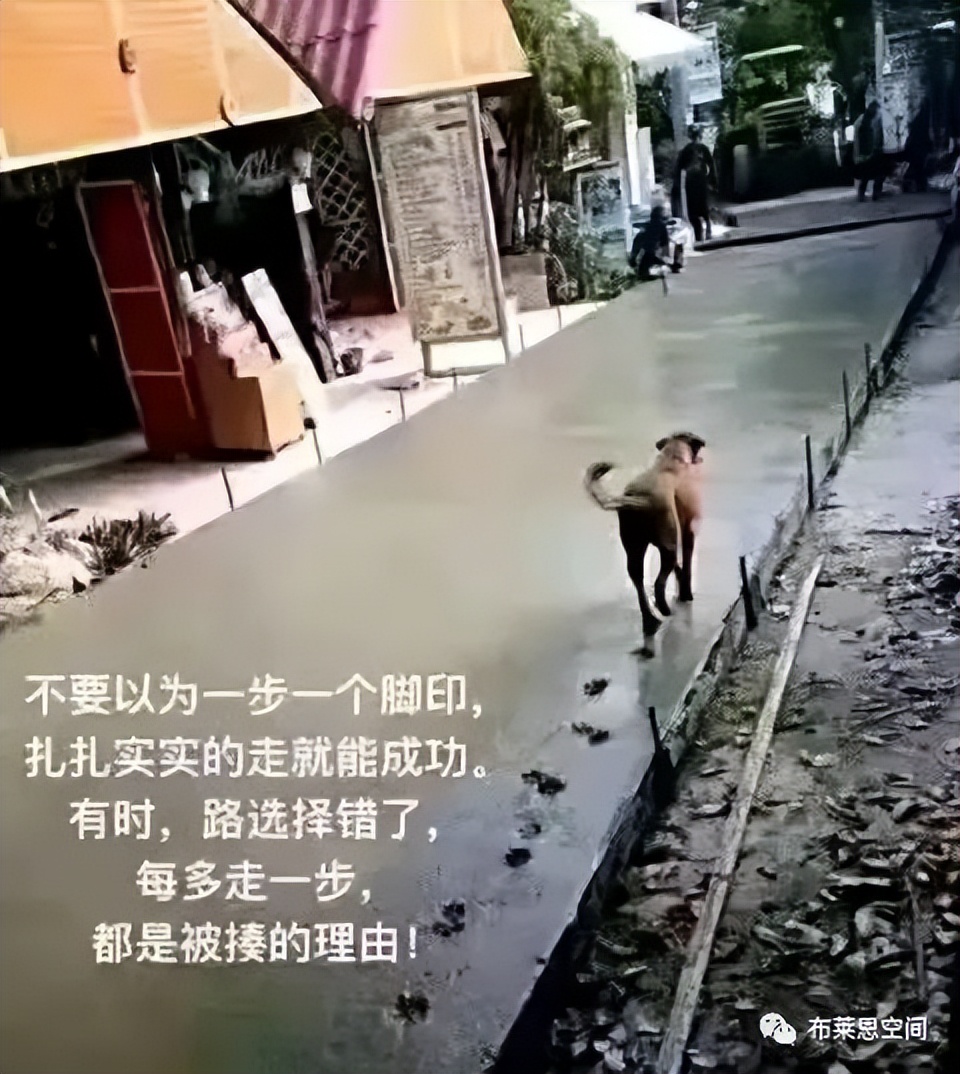 设计院拖欠工资,央企设计院真实待遇怎么样