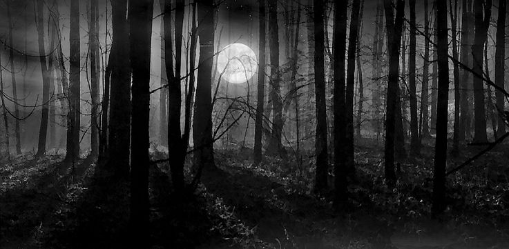 费米悖论属不属于十大悖论,论述费米悖论及宇宙黑暗丛林法则