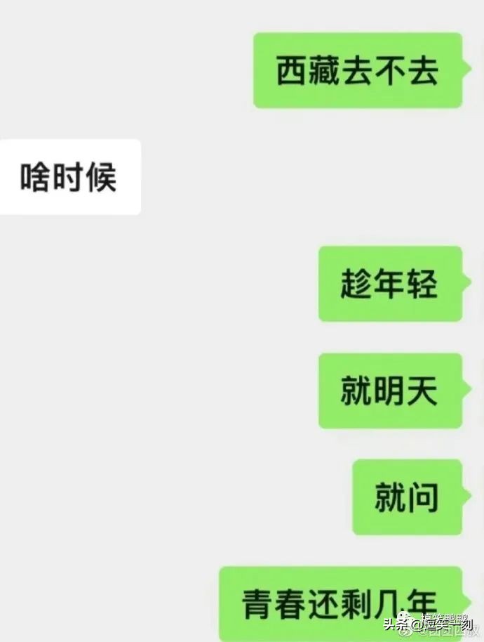 姐妹间的远大梦想，哈哈哈曾梦想仗剑走天涯，后因预算不足而取消