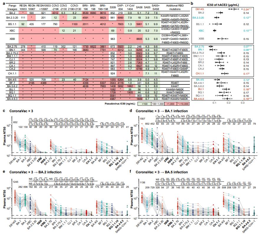 从流感病毒看新冠病毒的未来,流感及新冠病毒科普