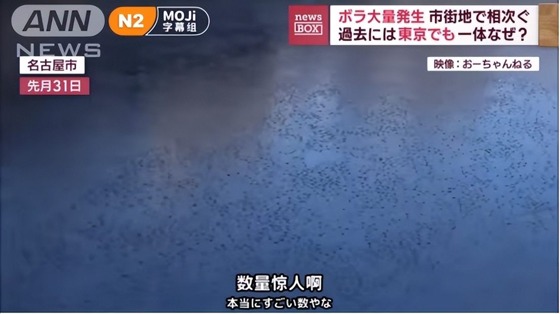 日本的地震前反常现象,揭秘日本地震来临有哪些应对措施