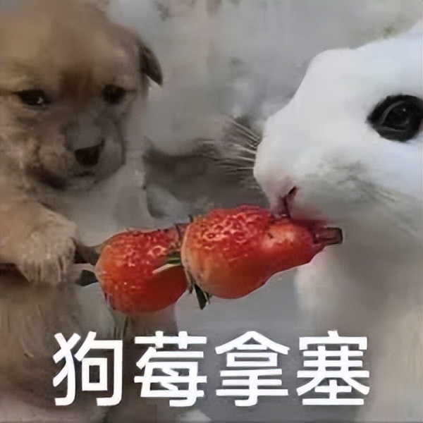 送你花花表情包可以随便发吗,送你花花表情包火影