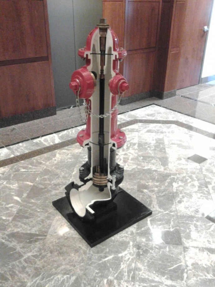 60样东西，切成一半，让你看得一清二楚