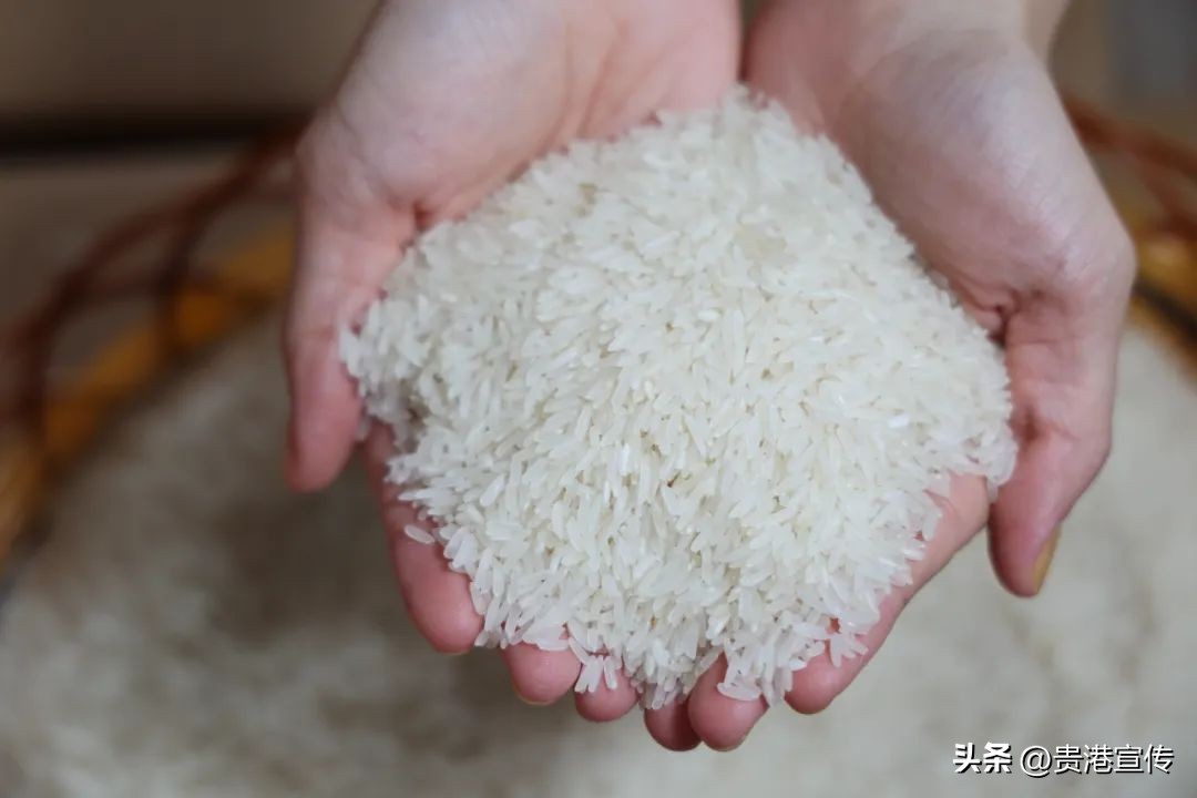 贵港超亿元企业,贵港有没有产值一百亿元的企业