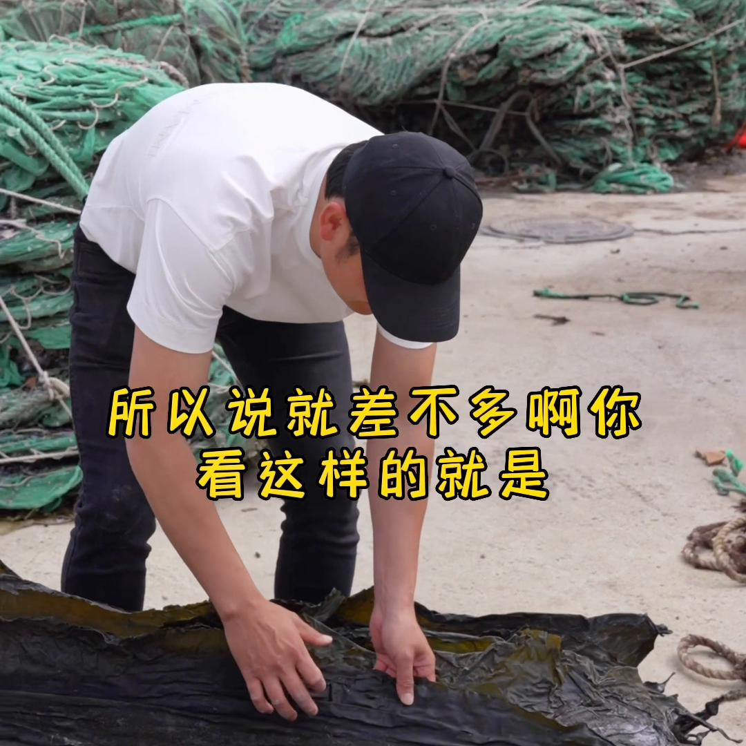 海带收购后多久才能卖,海带收回来要怎么处理