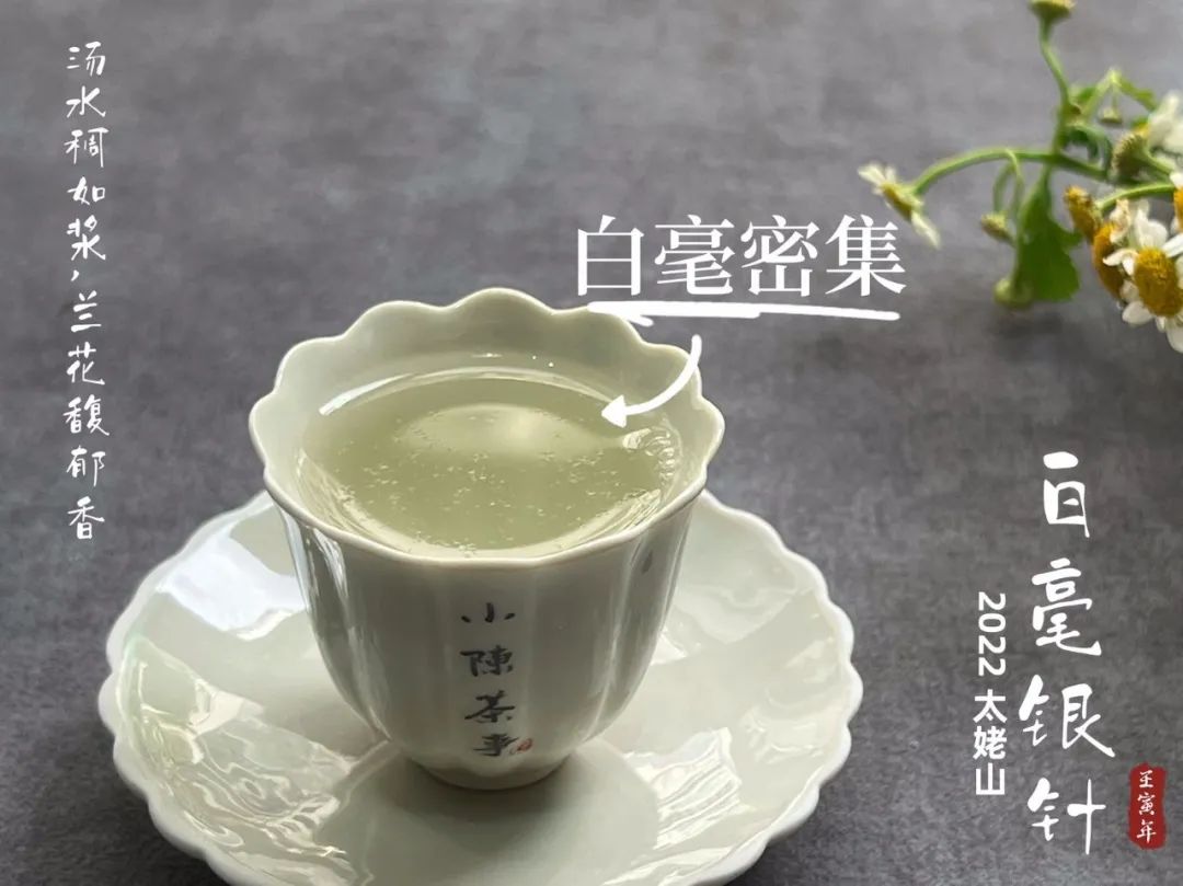 大红袍怎么样分辨茶叶是不是好茶,大红袍不是红茶是青茶