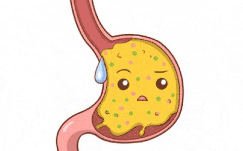 运动少胃动力不足,胃动力不足怎么办北京卫视养生堂