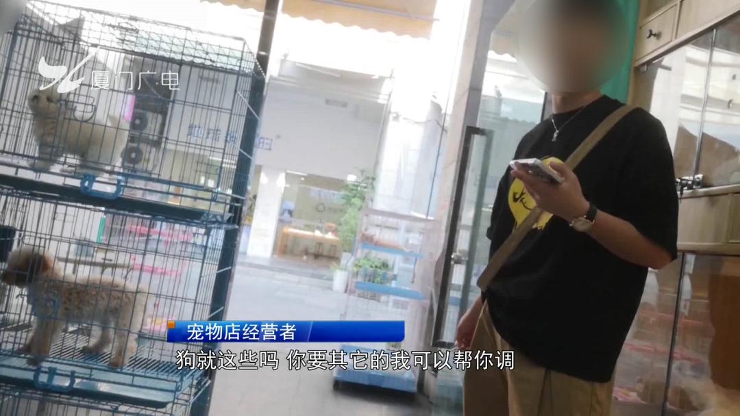 限养区犬规定厦门,禁犬令厦门