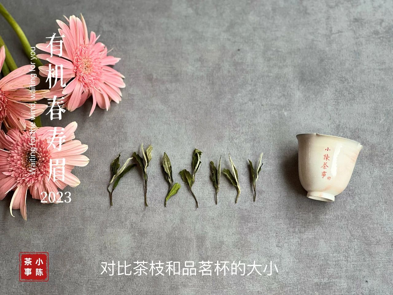 家庭存茶要避灯光吗,家庭存茶的忌讳