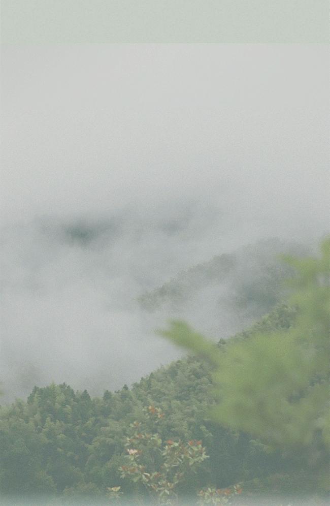 南京悦榕庄消费,南京悦榕庄值不值