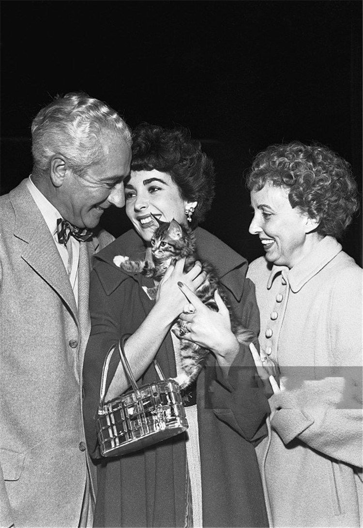 伊丽莎白泰勒从年轻到老的变化,伊丽莎白泰勒美貌