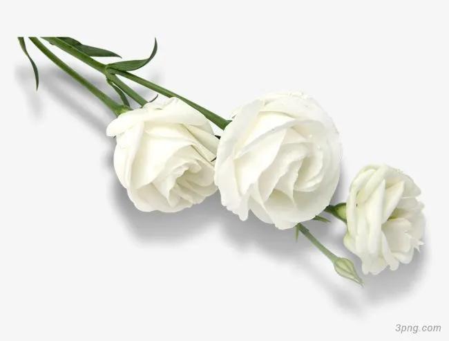 谁来陪你过情人节,谁陪你度过这次情人节