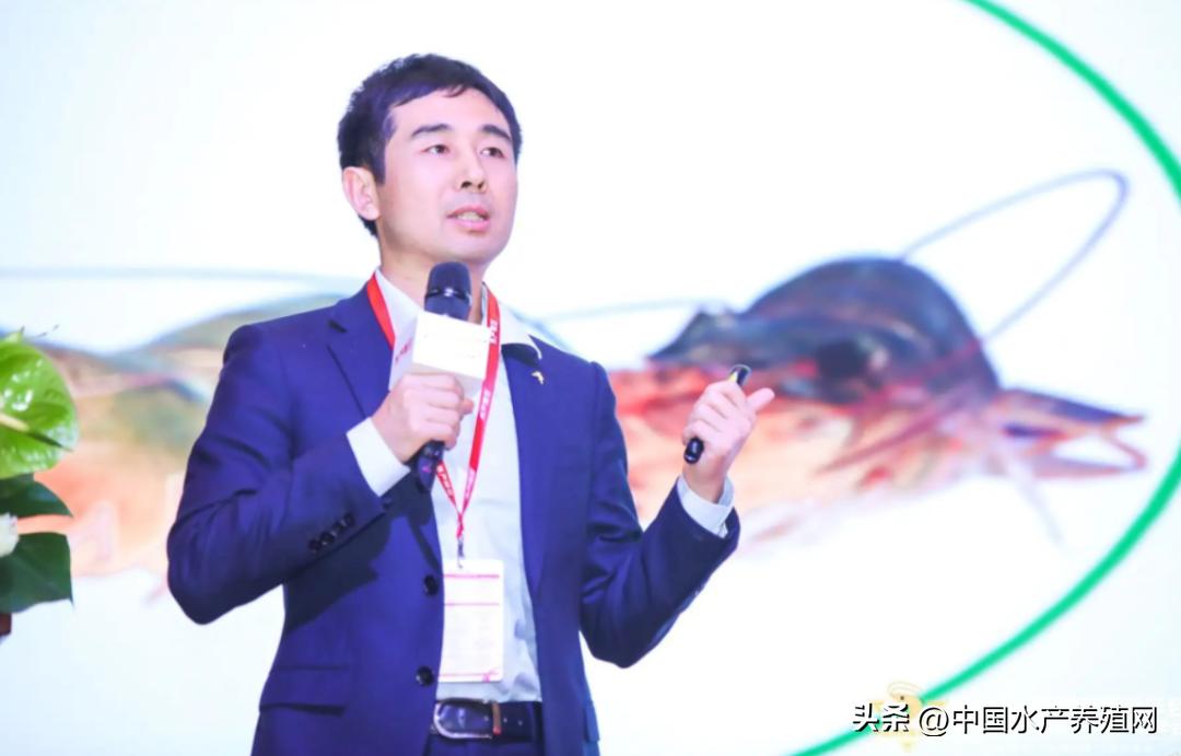 通威10000亿订单,通威股份获千亿订单