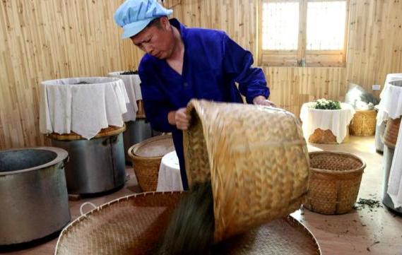 广东老板白手起家全靠自己挣钱,广东老板出资2万种植年入50万