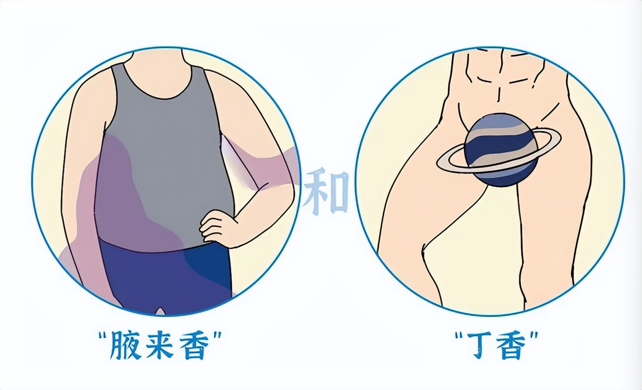 女生为什么能闻到男人味,女人闻到男人味到底是什么气质