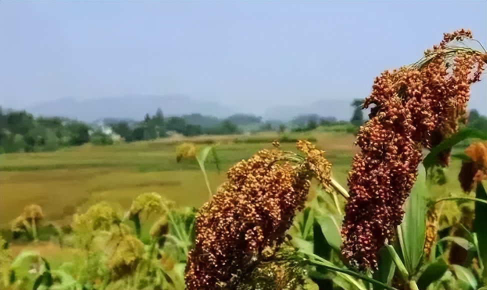 招募所有志同道合合伙人共创大业,招募志同道合永久合伙人