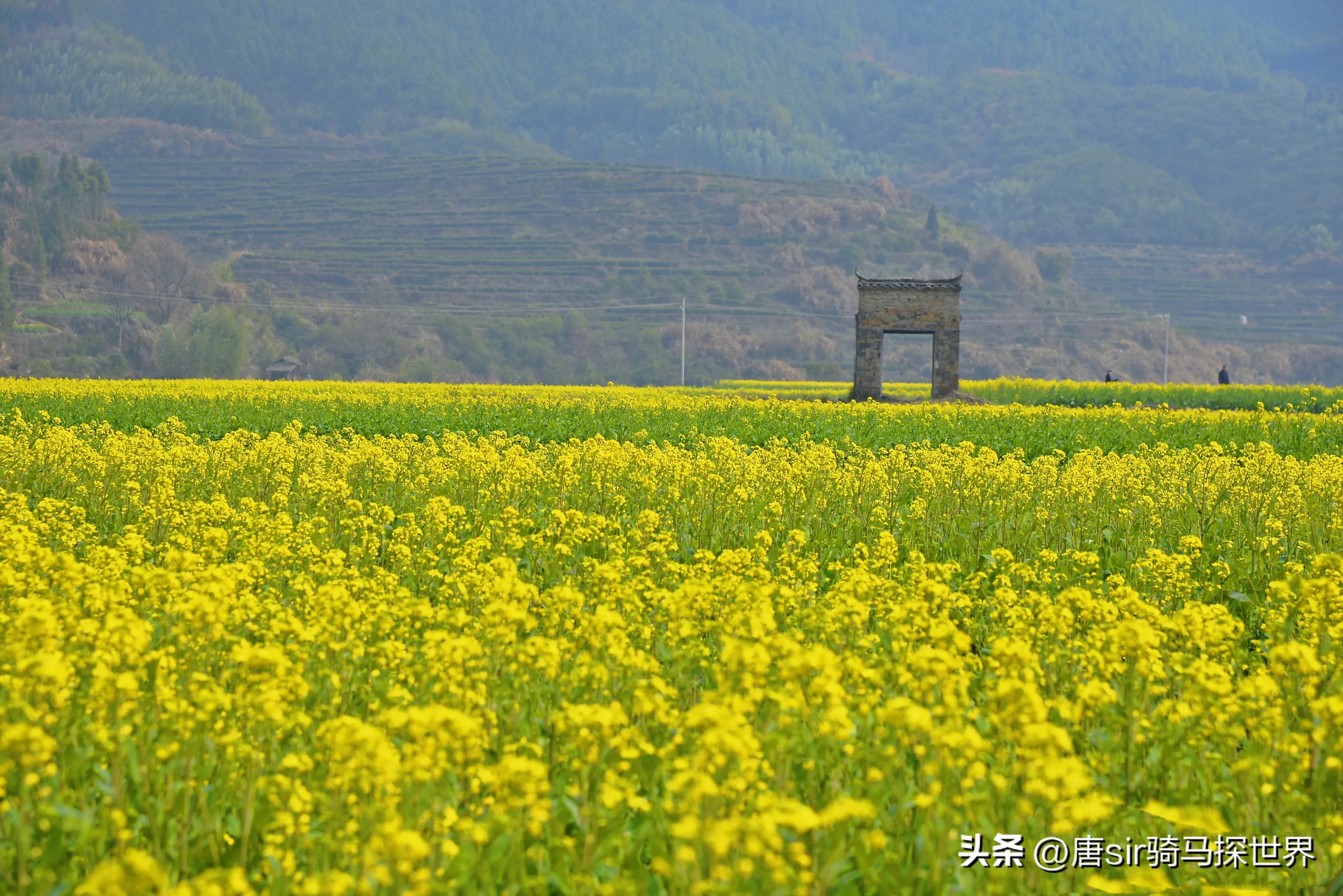 婺源江湾著名景点,婺东第一村