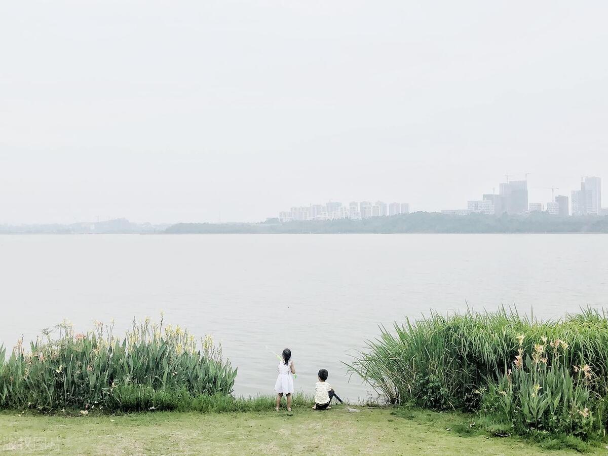 成都最美四大公园,最美成都公园排名