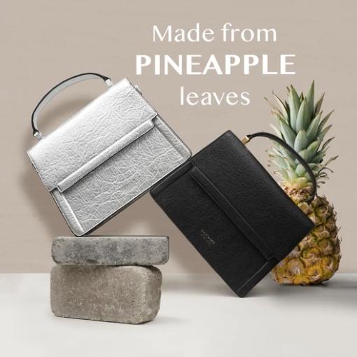 2021年世界各地的40个好消息，在沉重的一年，也能看到一些阳光