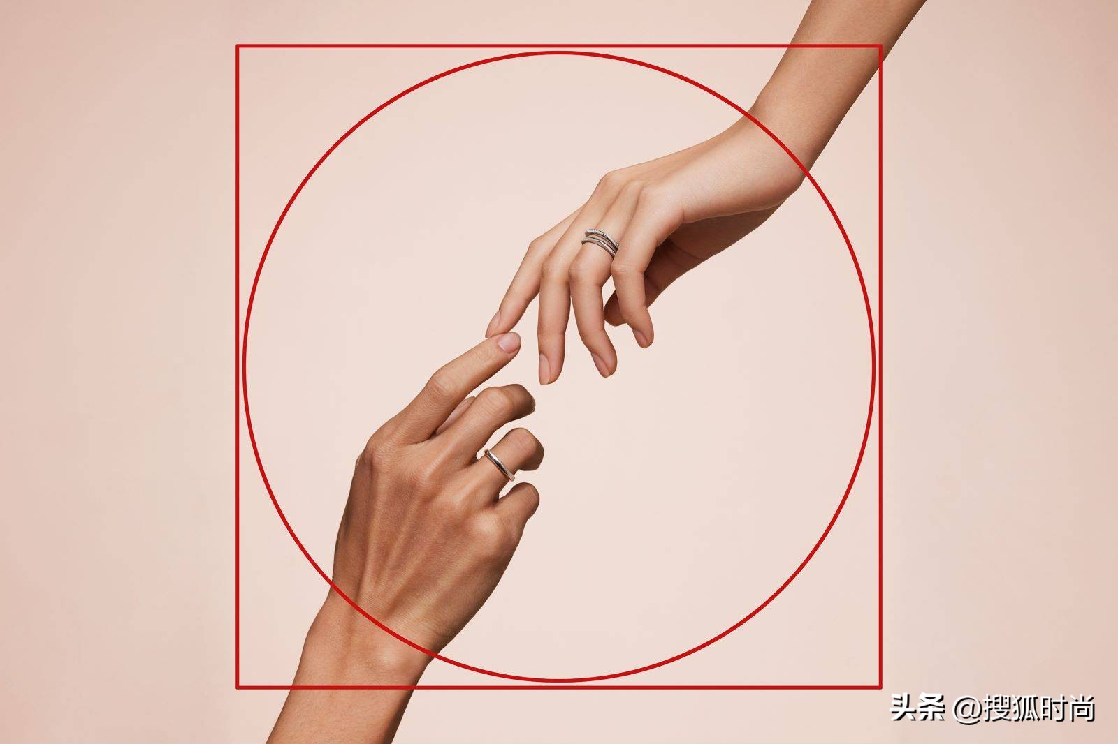 迪丽热巴生日蔡徐坤送祝福,情人节送玫瑰花怎么表白