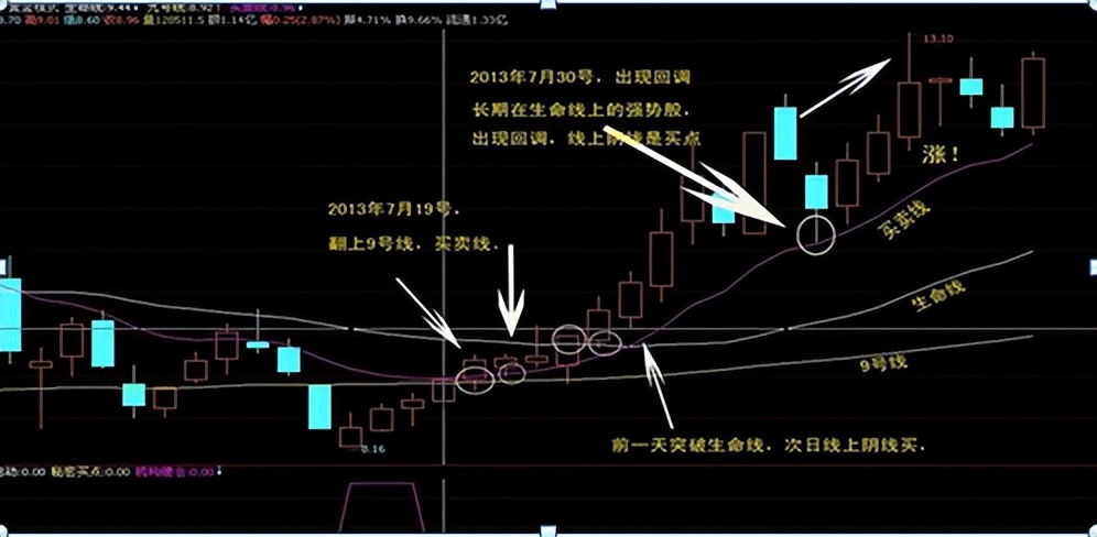 职业股民的忠告,股民炒股忠告