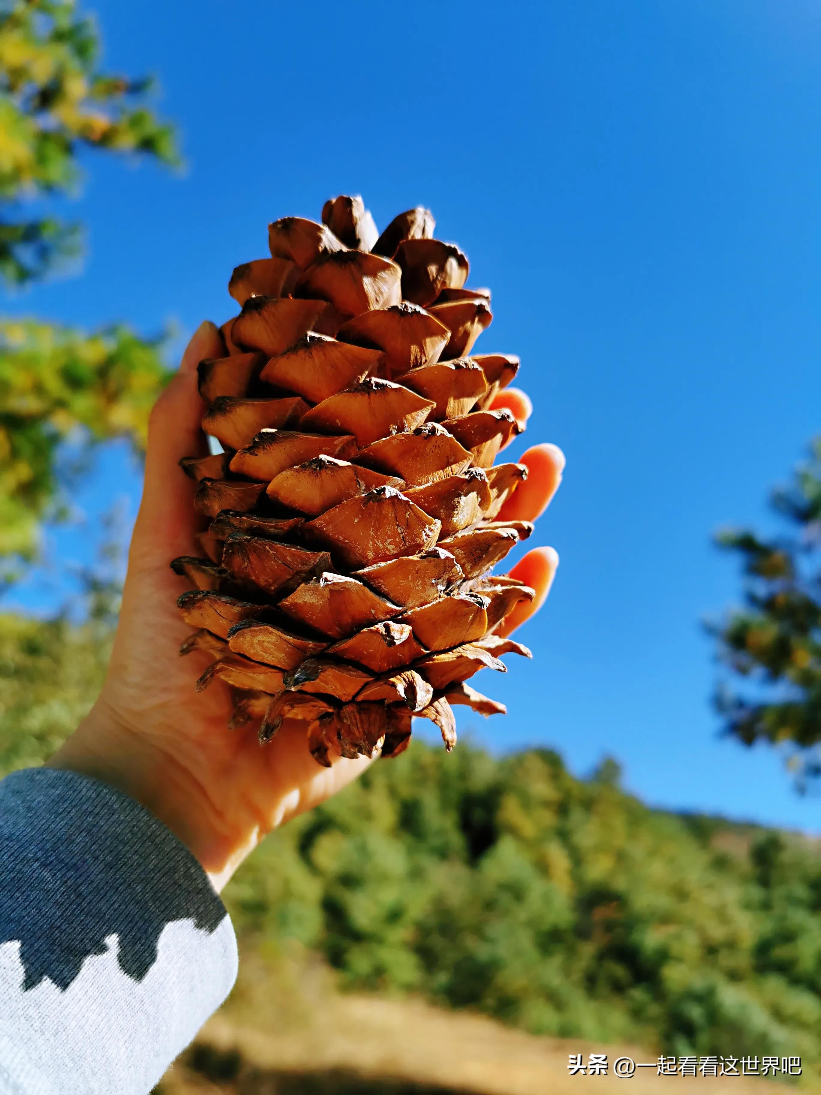 骑行昆明十峰之梁王山,昆明周边游玩景点梁王山