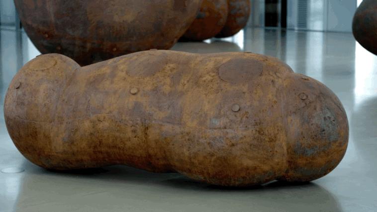 最极致的体型,世界最高身材