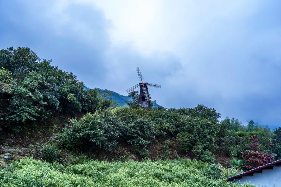 万里茶道第一镇铅山休闲一日游,铅山县万里茶道世界遗产