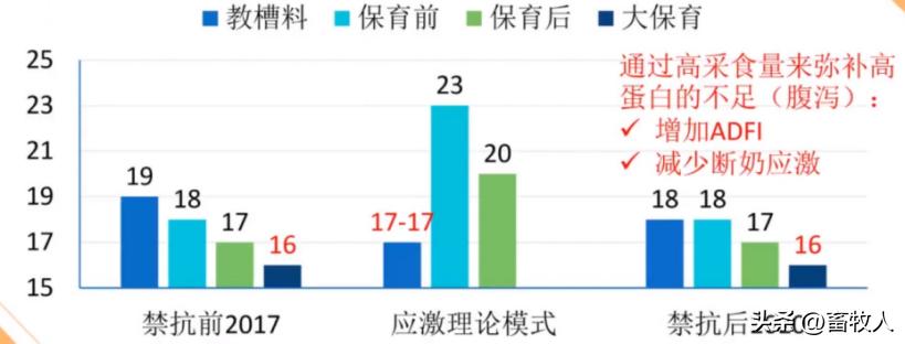 万建美博士:母仔一体化低蛋白猪料配方方案的设计与应用关键