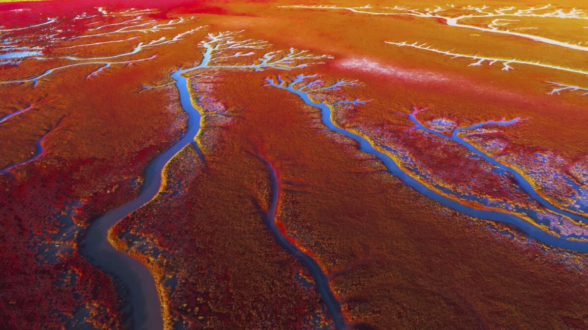 世界上最罕见的九种自然奇观,世界罕见的五大自然奇观