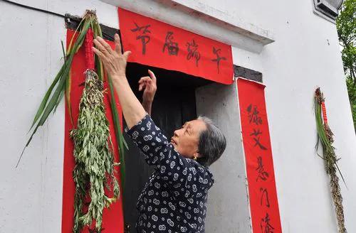 端午节挂艾草挂二茬的艾草好不好,端午节艾草和清明节艾草的区别