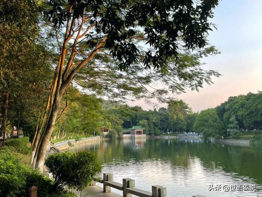 雨中漫步在公园里,独自漫步在郊野公园