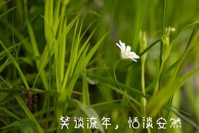 冬来天寒念你安暖是什么意思,天寒地冻惟愿安暖