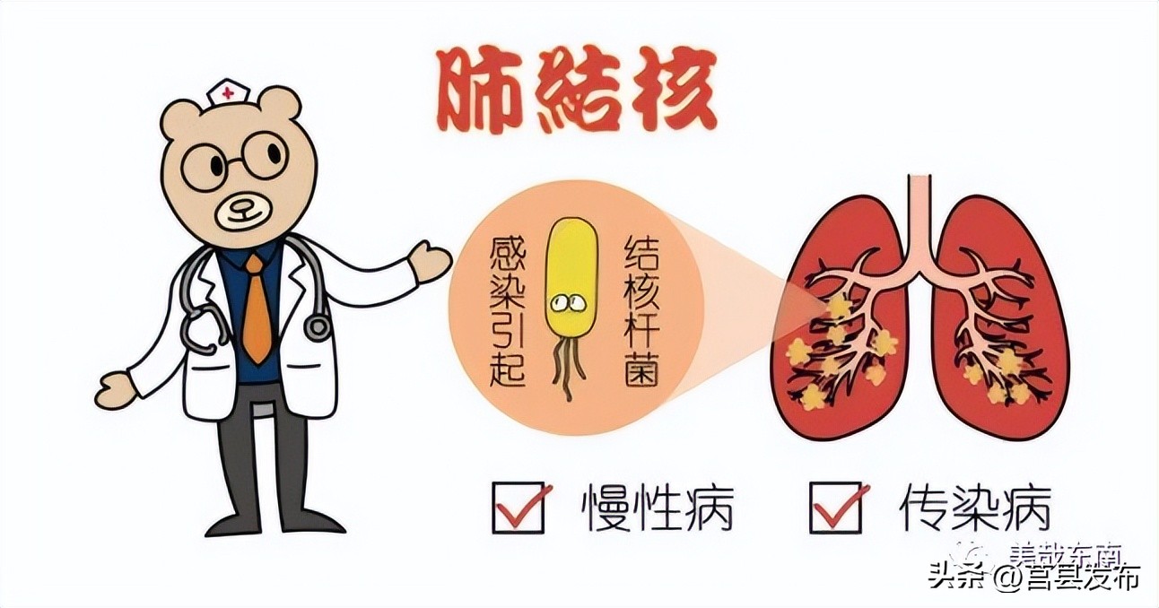 世界防治结核病日几月几号,世界防治结核病日宣传知识要点