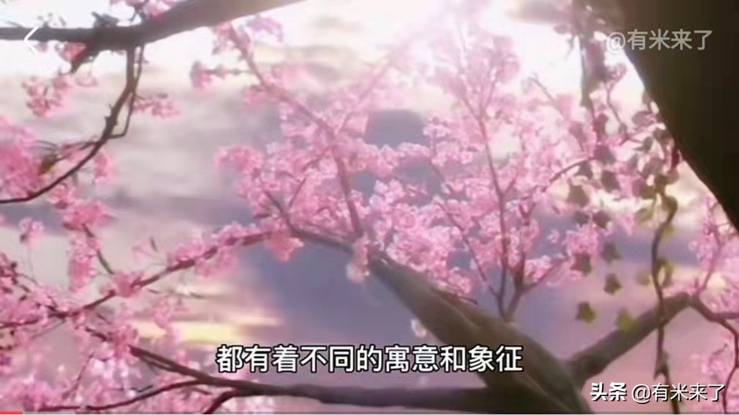 桃为什么是辟邪的,为啥都说桃木能吓退鬼神