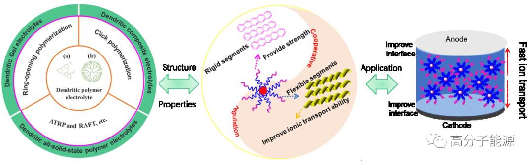 南大*钟金**/澳门大学邵怀宇AM:树枝状固体聚合物电解质