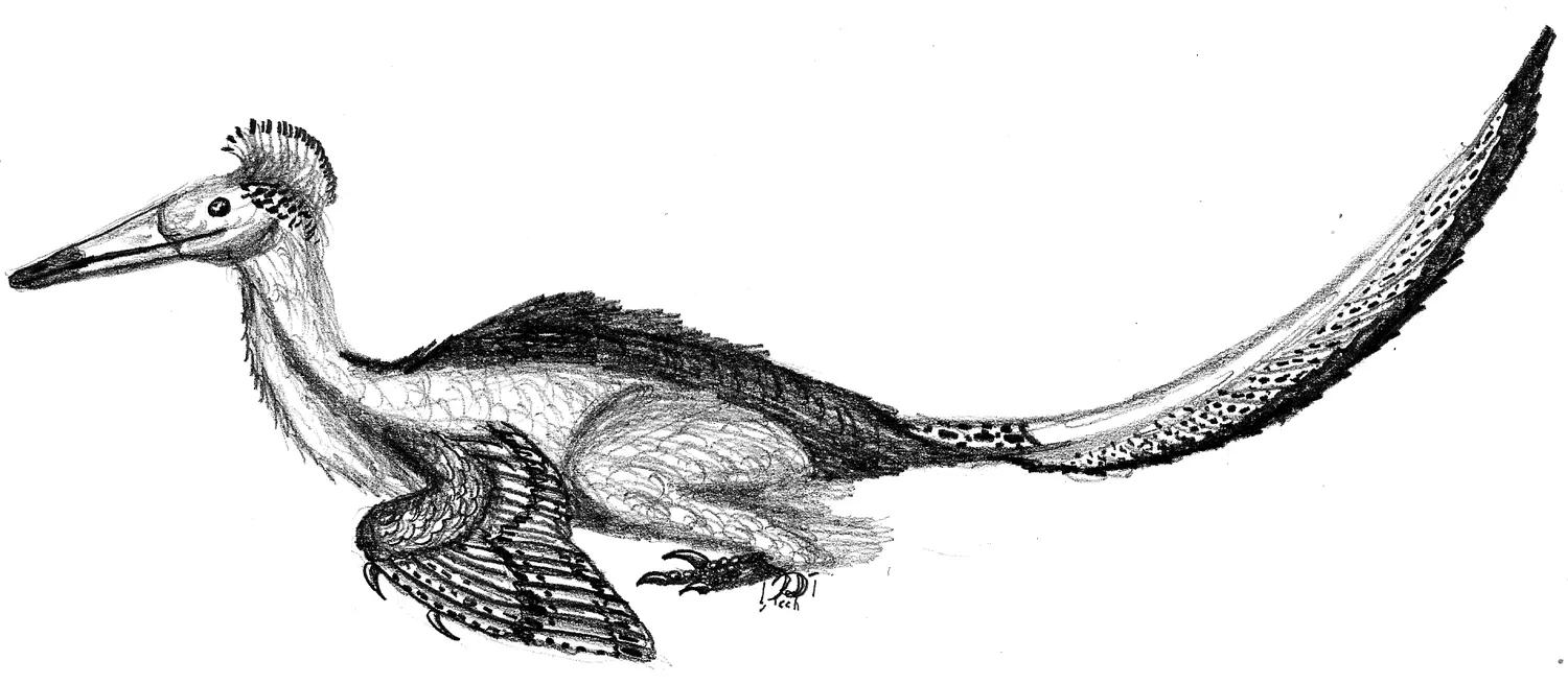 兽脚类恐龙的种类,raptor猛禽恐龙