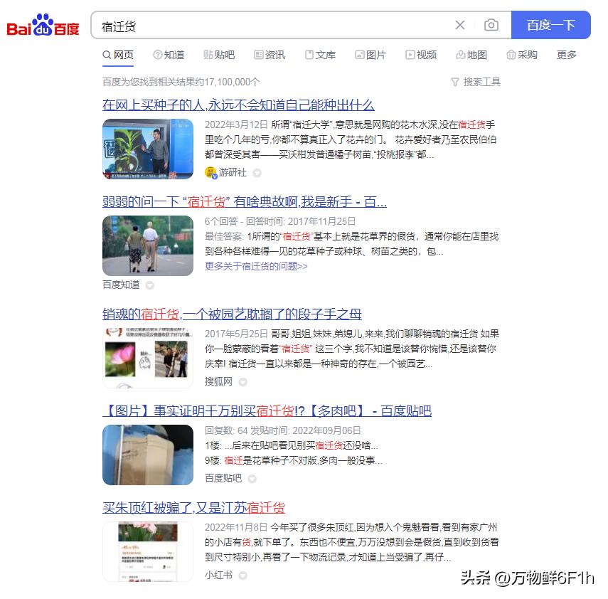 宿迁神苗是什么梗,宿迁的苗木为什么叫神苗