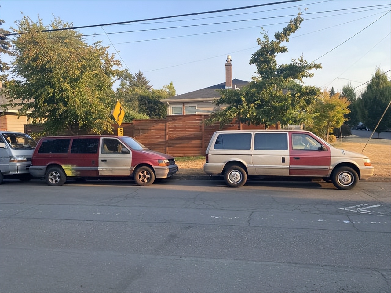 盘点被电鳗电死的人,鳄鱼咬住电鳗当场死亡